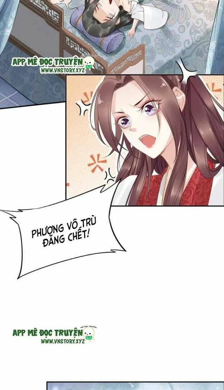 Nhất Sinh Nhất Thế Tiếu Thương Khung: Chapter 51