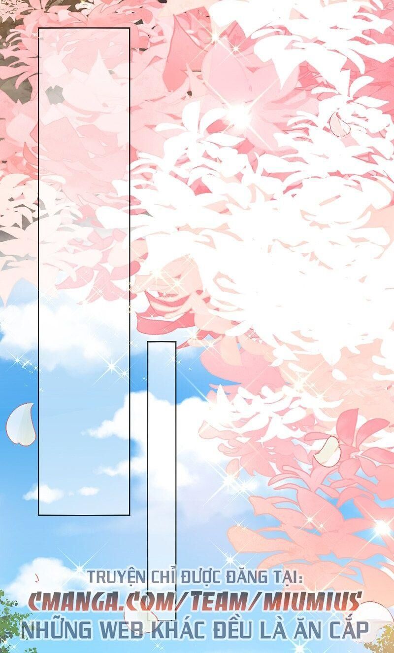 Công Lược Trưởng Thành Của Vương Phi: Chapter 29