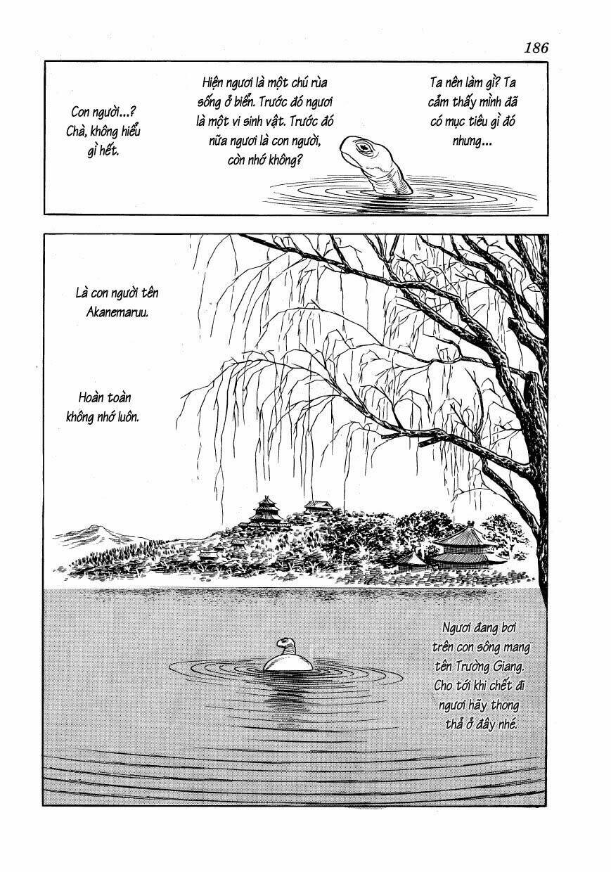 Chim Lửa: Chapter 48