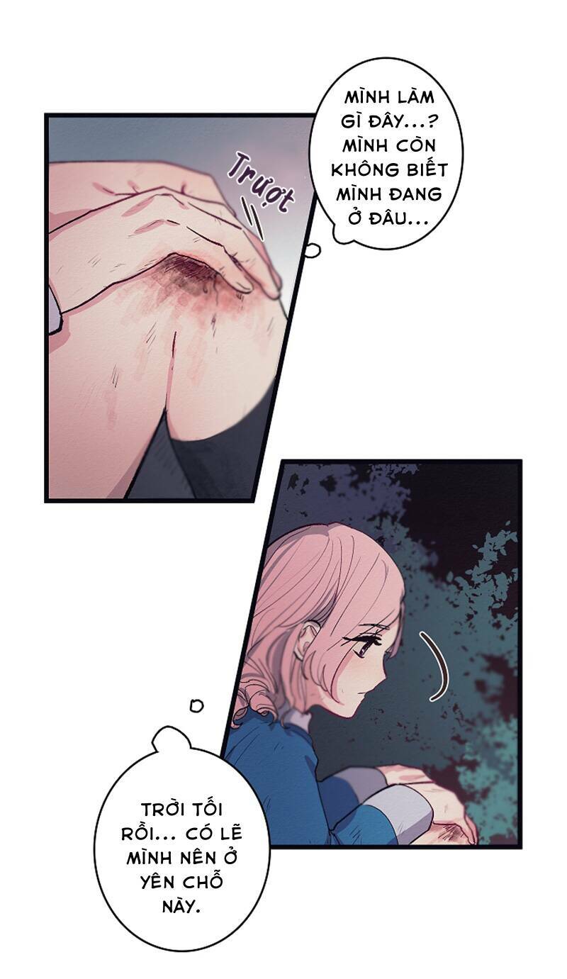 A Lady's Table: Chapter 4