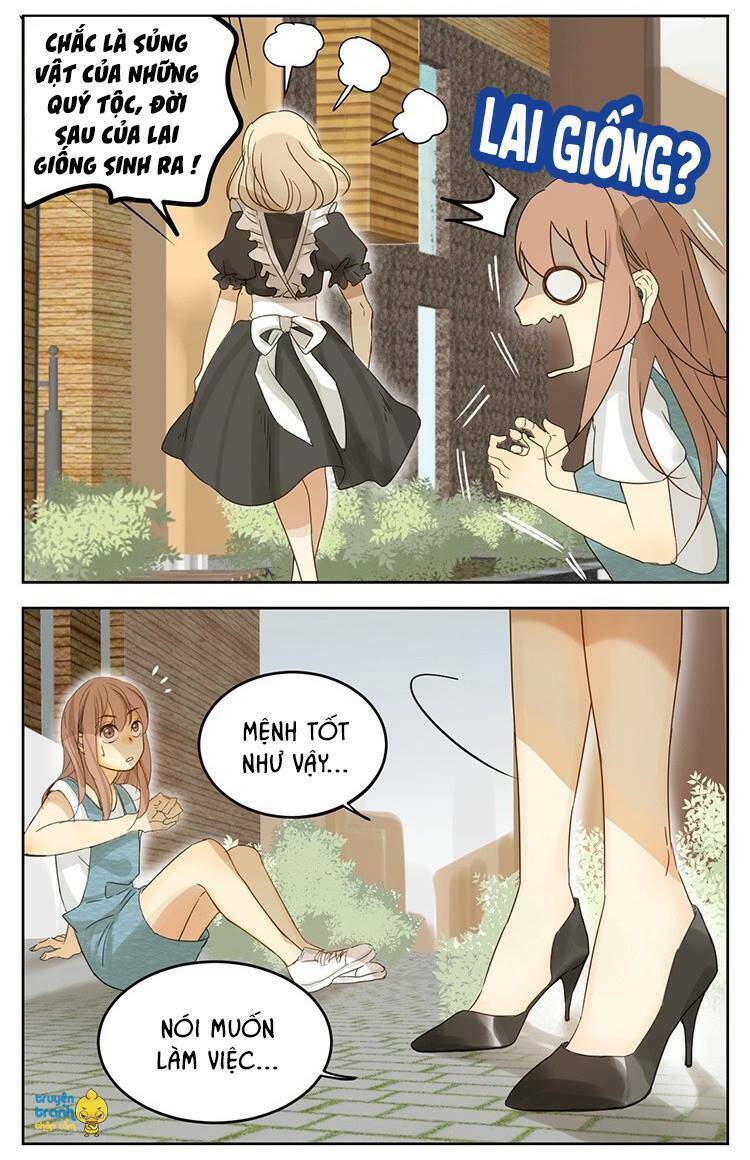 Cứu Mạng! Loài Mèo Thống Trị Thế Giới Rồi!: Chapter 12