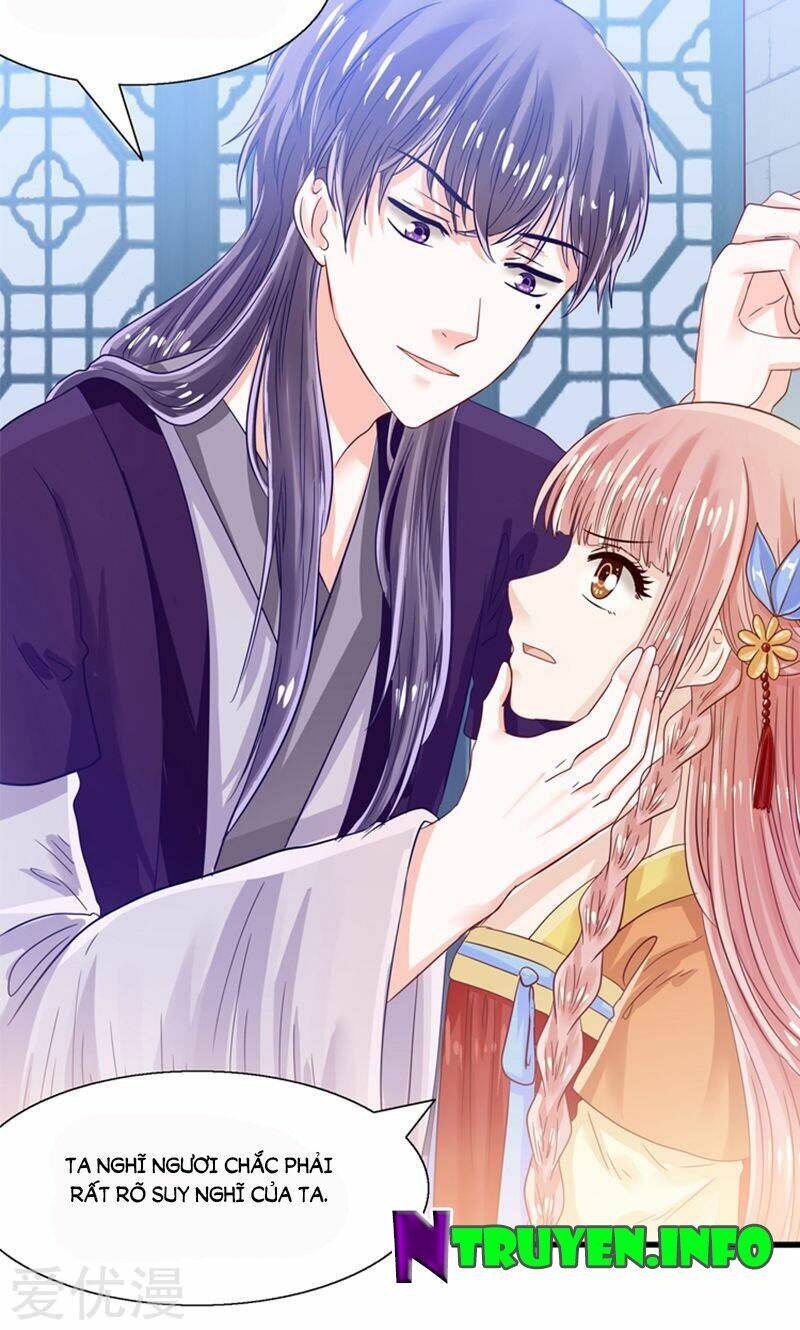 Tôi Bị Gấu Trúc Nhìn Trúng Rồi: Chapter 24