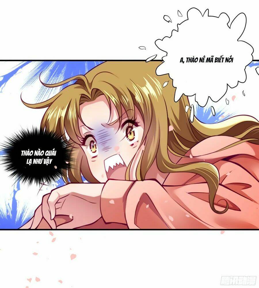 Tiểu Hoàng Thư Và Tiểu Hoàng Thúc: Chapter 0