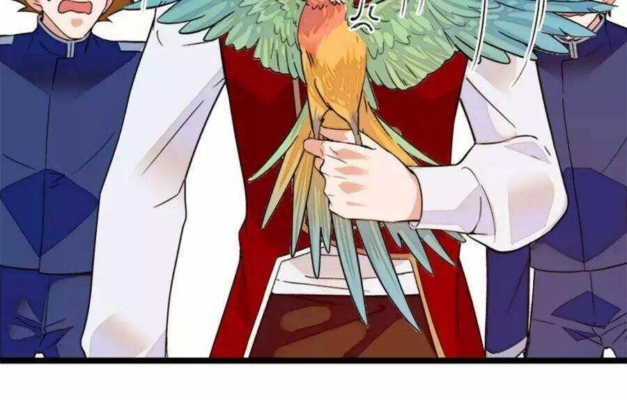 Huyết Túc Khế Ứớc: Chapter 5