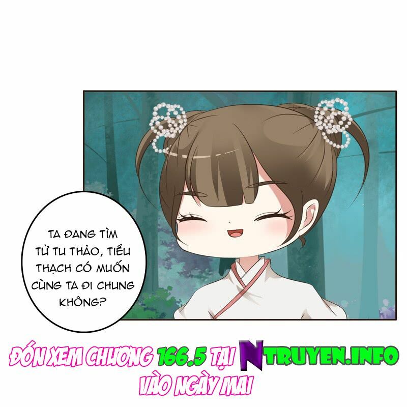 Thông Linh Phi: Chapter 166