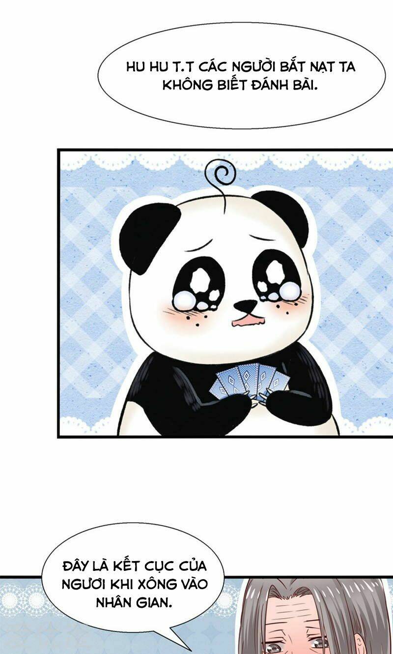 Tôi Bị Gấu Trúc Nhìn Trúng Rồi: Chapter 17