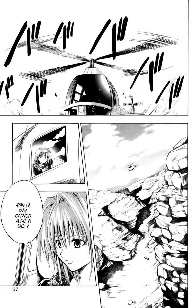 Sát Thủ Mèo Đen: Chapter 105