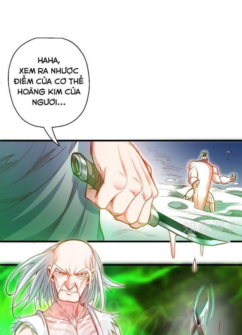 Tối Cường Đại Biểu Hoàng Kim Thận: Chapter 67