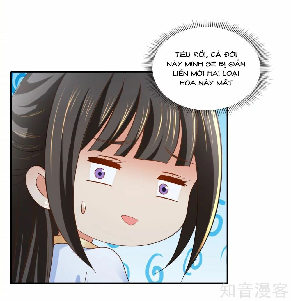 Lãnh Cung Phế Hậu Muốn Nghịch Thiên: Chapter 138