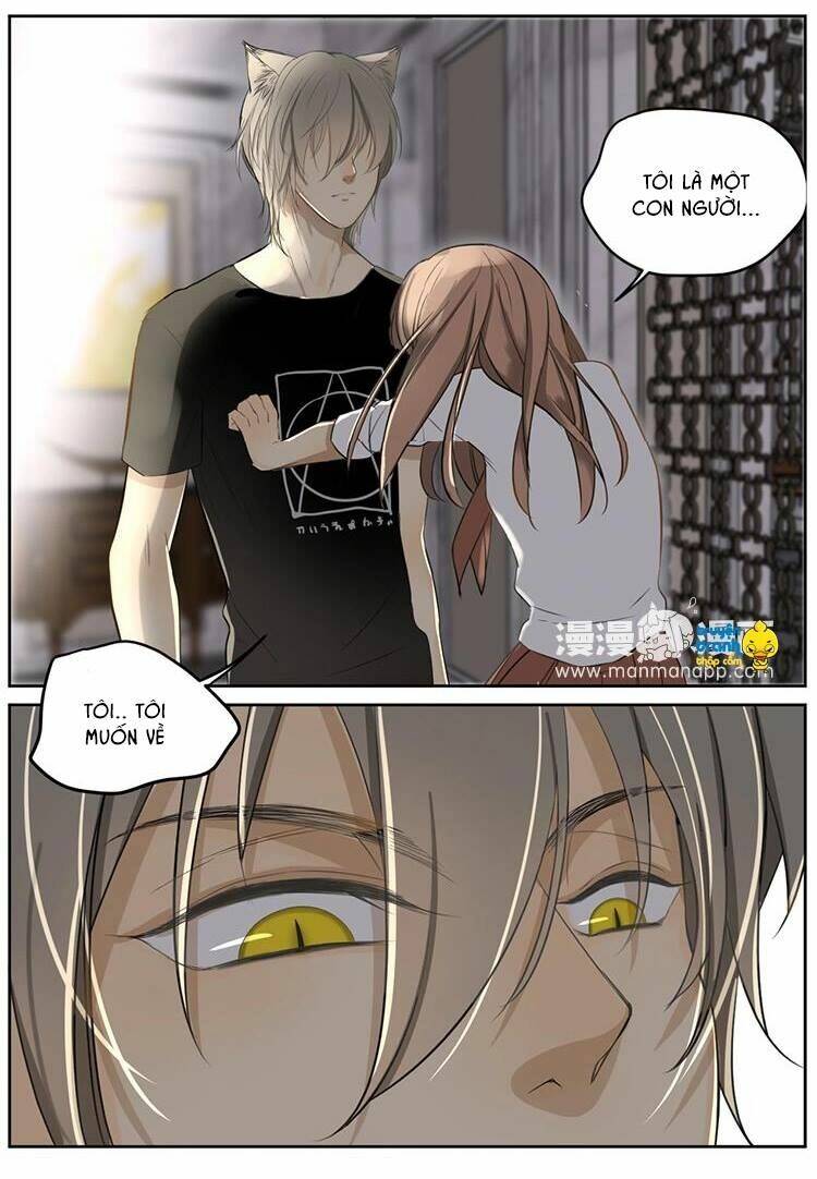 Cứu Mạng! Loài Mèo Thống Trị Thế Giới Rồi!: Chapter 7