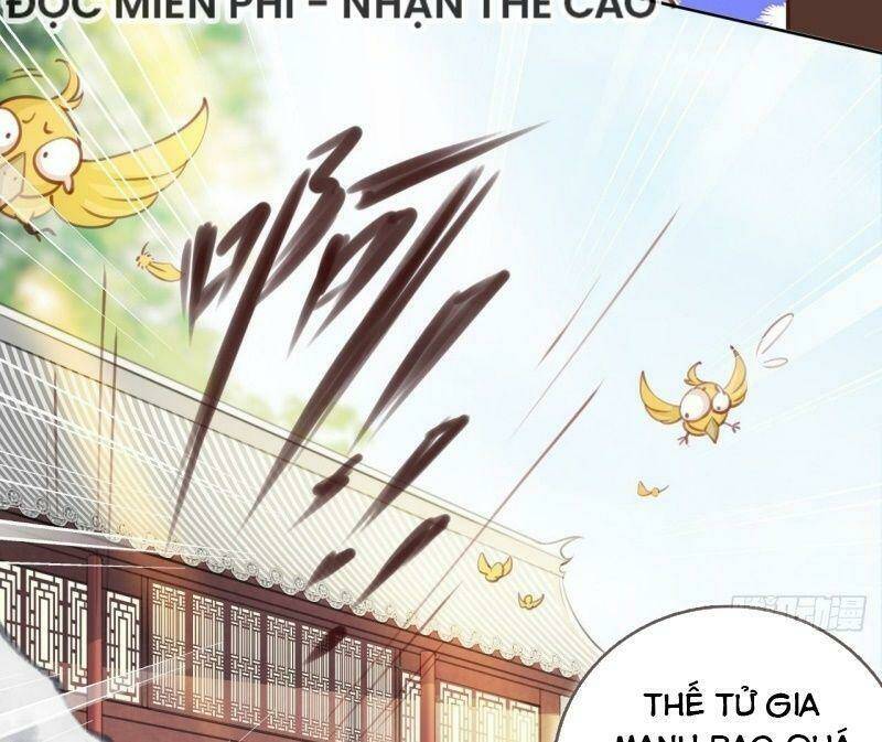 Nàng Trở Thành Bạch Nguyệt Quang Của Vương Gia Bệnh Kiều: Chapter 12