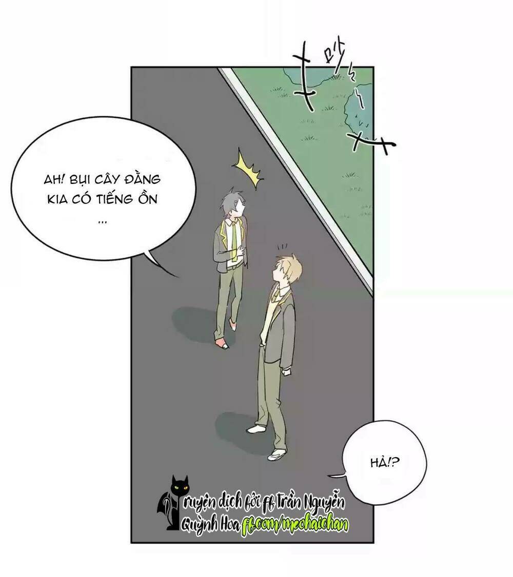 Đầu Gấu Biết Yêu: Chapter 7