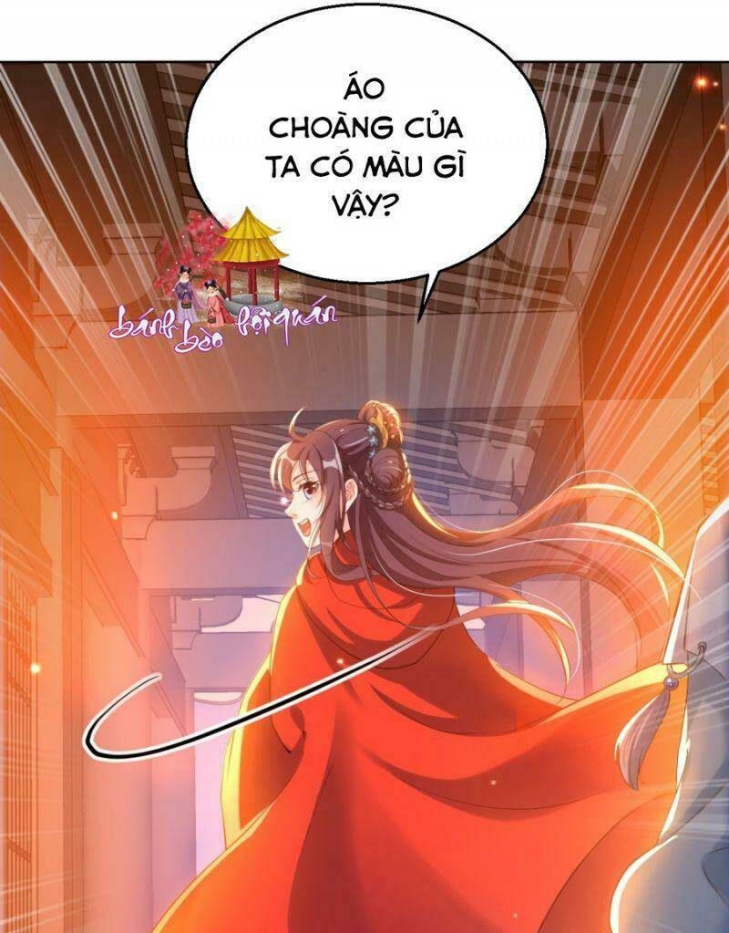 Nữ Tiên Tôn Bận Đào Hôn: Chapter 8