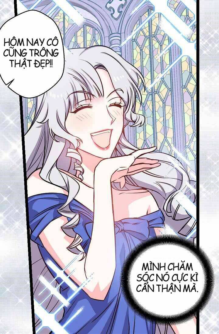 Hôn Lễ Báo Thù: Chapter 11