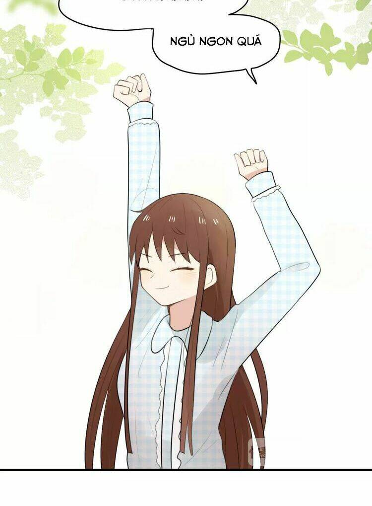 Tiểu Miêu Và Hắc Diệu Thạch: Chapter 1