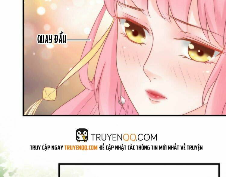 Báo Cáo Vương Gia, Vương Phi Là Một Con Mèo: Chapter 4