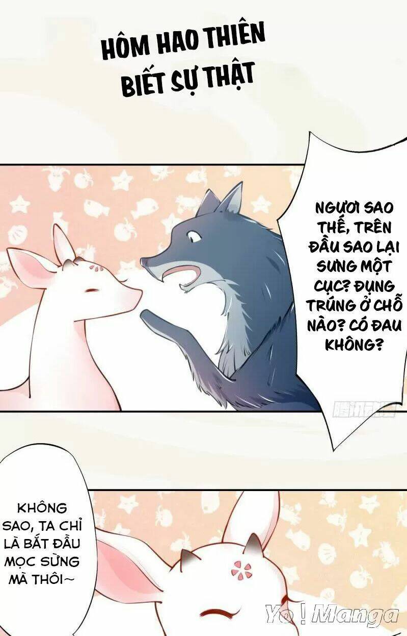 Tuyệt Thế Luyện Đan Sư: Chapter 51