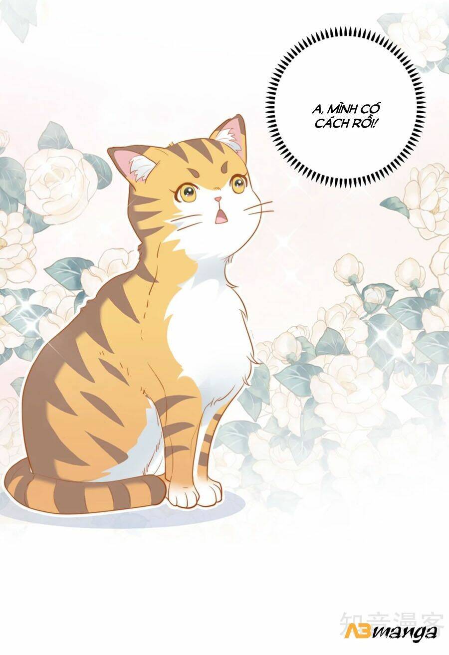 Hẹn Hò Siêu Tốc: Chapter 1