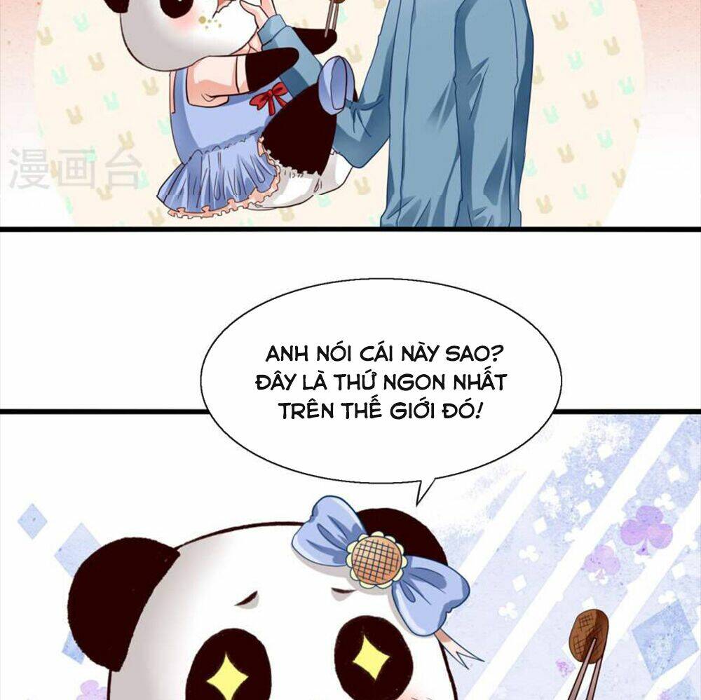 Tôi Bị Gấu Trúc Nhìn Trúng Rồi: Chapter 9