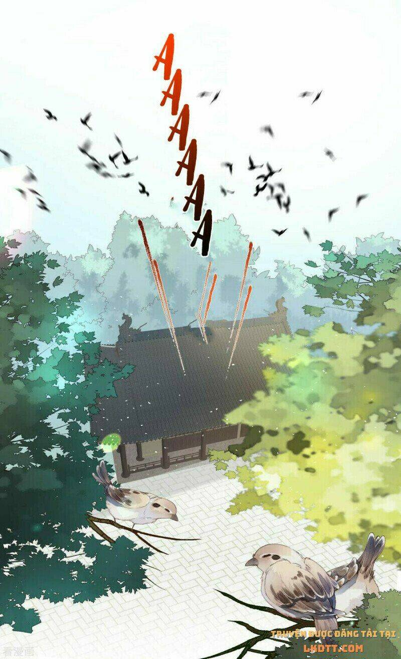 Nhật Kí Học Tập Của Hắc Liên Hoa: Chapter 51