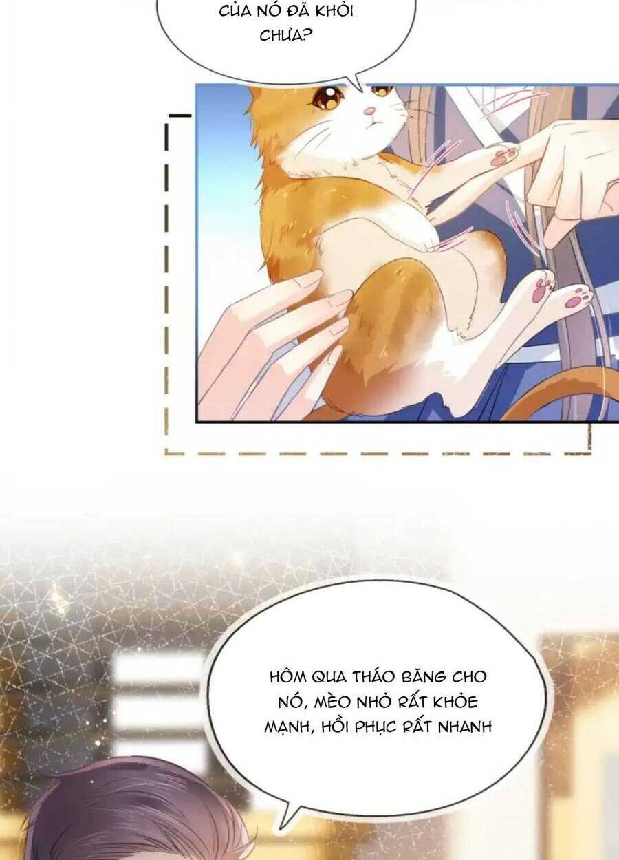 Thế Thân Hào Môn: Chapter 11