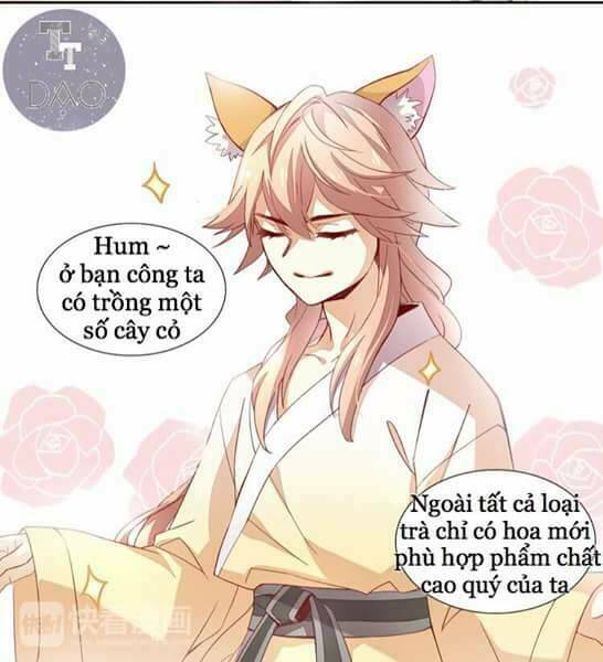 Dưới Móng Vuốt Mèo: Chapter 2