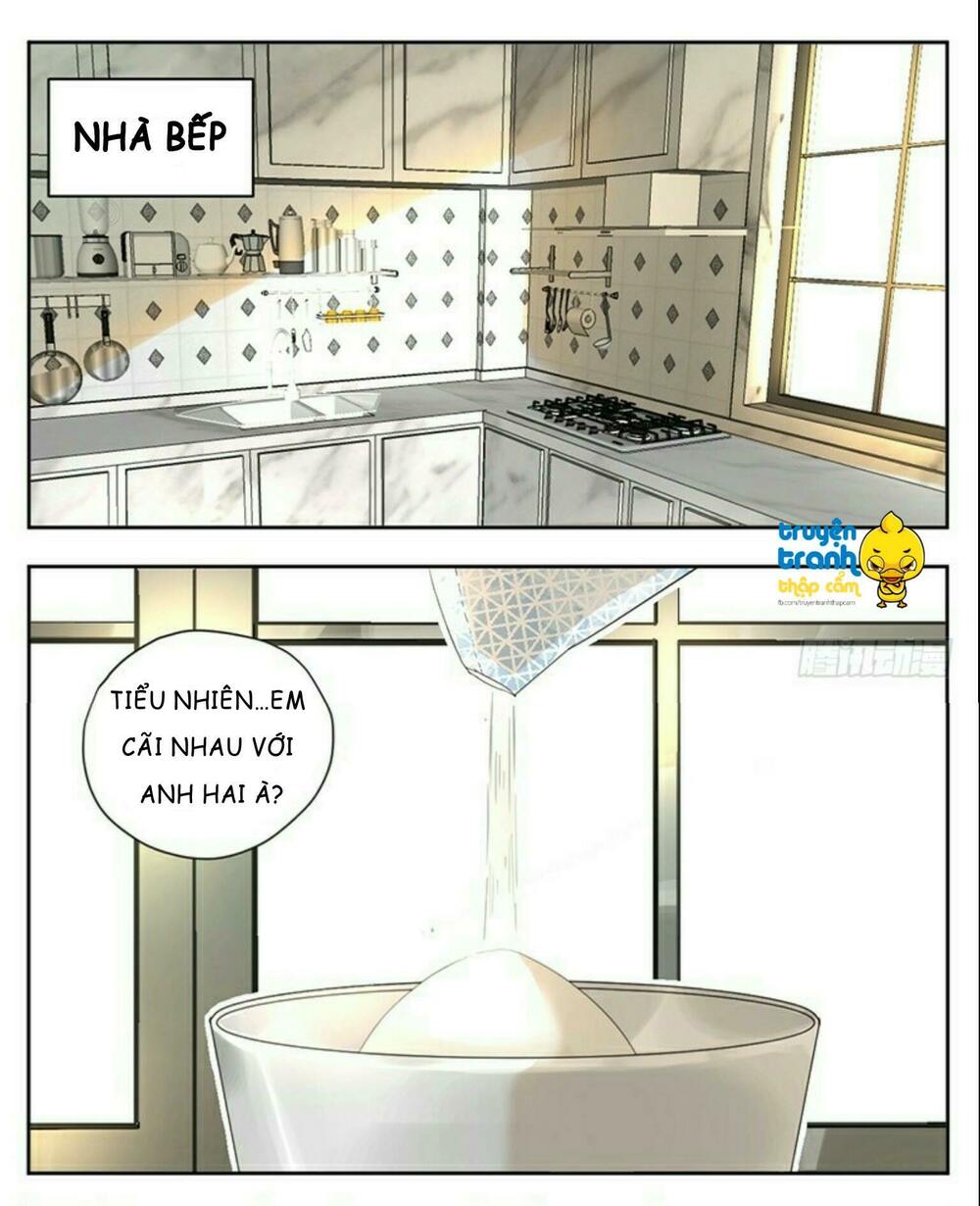 Cứu mạng ! Loài mèo thống trị thế giới rồi !: Chapter 32
