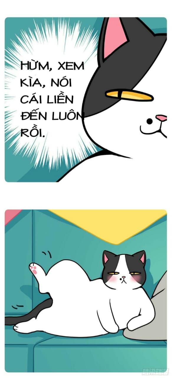 Hello Dư Tuyết Đặc: Chapter 1