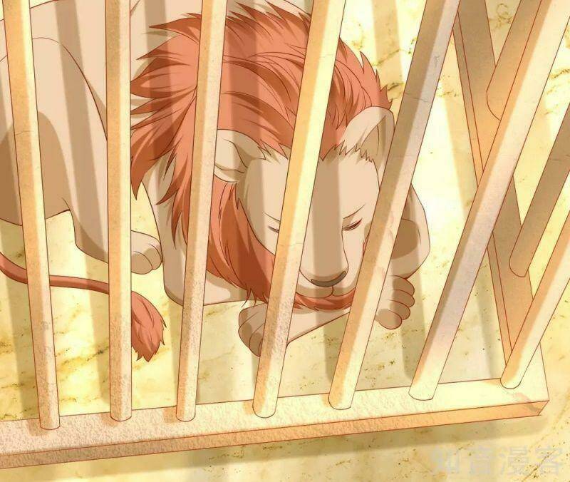 Sủng Hậu Của Vương: Chapter 56