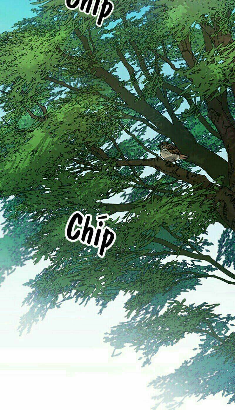 Cực Phẩm Mỹ Nam, Thật Lãng Phí: Chapter 9