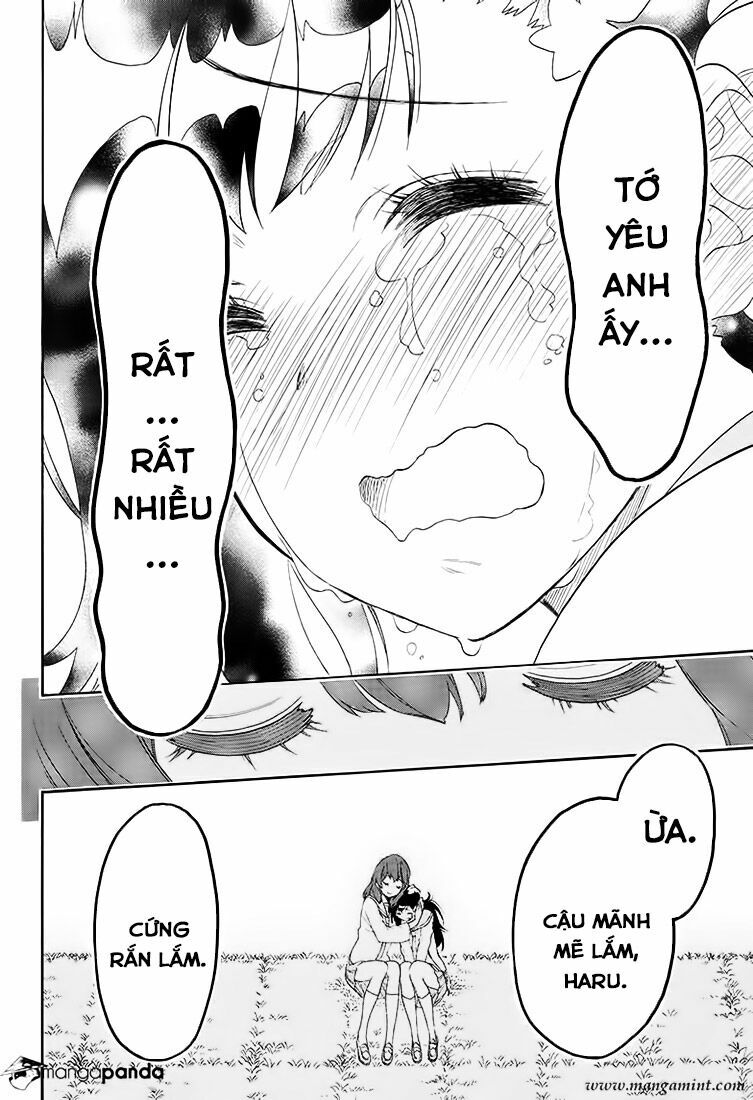 Tình Yêu Ngang Trái: Chapter 203