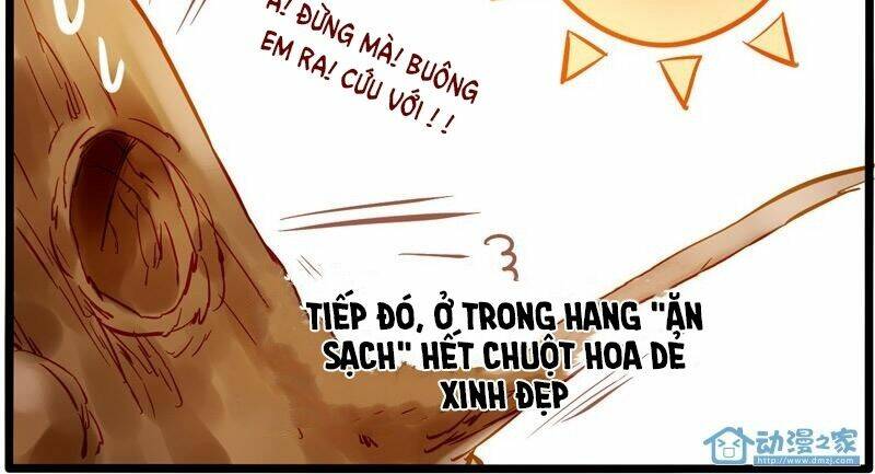 Hằng Mộng Nam Thần: Chapter 8