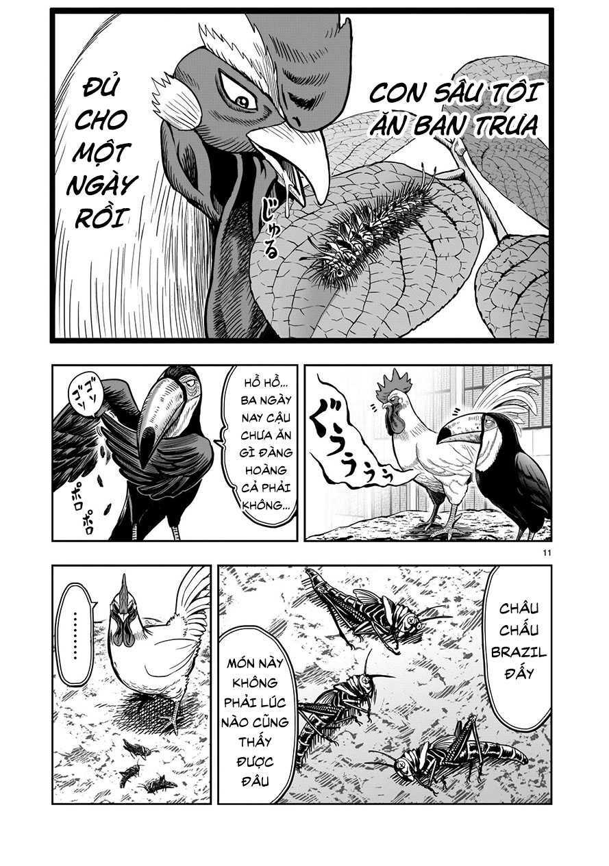 Cự Kê Chiến Ký: Chapter 3