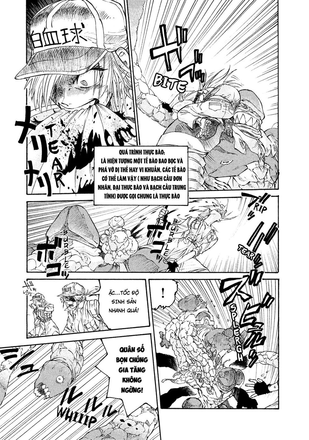 Hataraku Saibou Black: Chapter 4