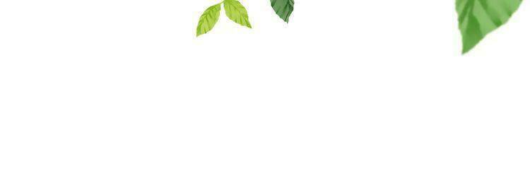 Thuần Trắng Vận Mệnh Chi Luân: Chapter 4