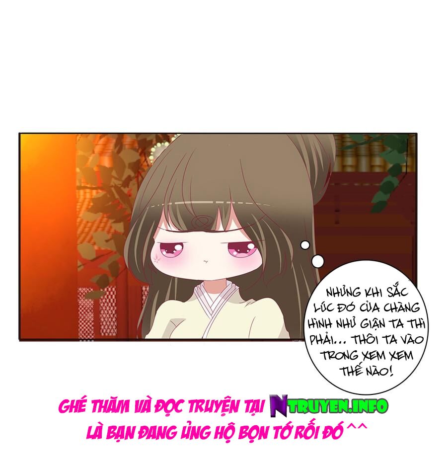 Thông Linh Phi: Chapter 508
