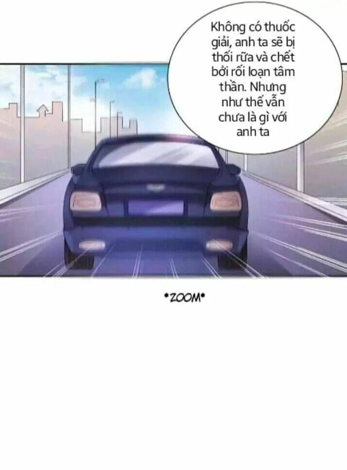 1 Nửa Hoàn Hảo Của Ceo: Chapter 20