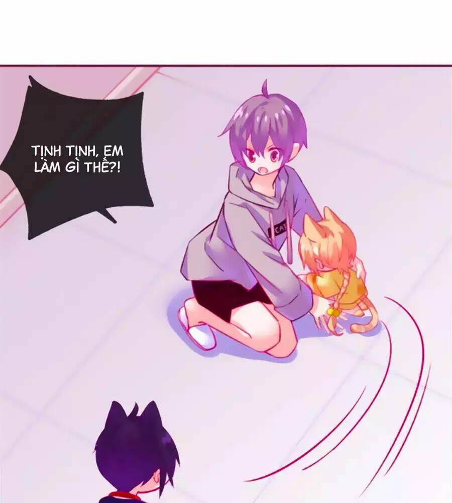 Đừng Nghịch, Ta Chỉ Muốn Yên Tĩnh: Chapter 61