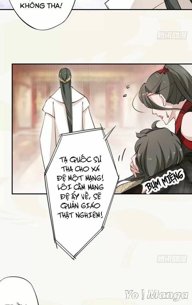 Tuyệt Thế Luyện Đan Sư: Chapter 40