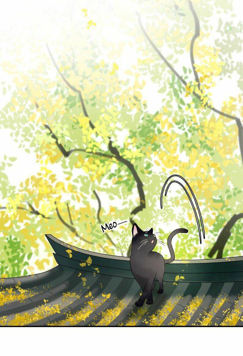 Thái Tử Bị Hoang Tưởng: Chapter 33