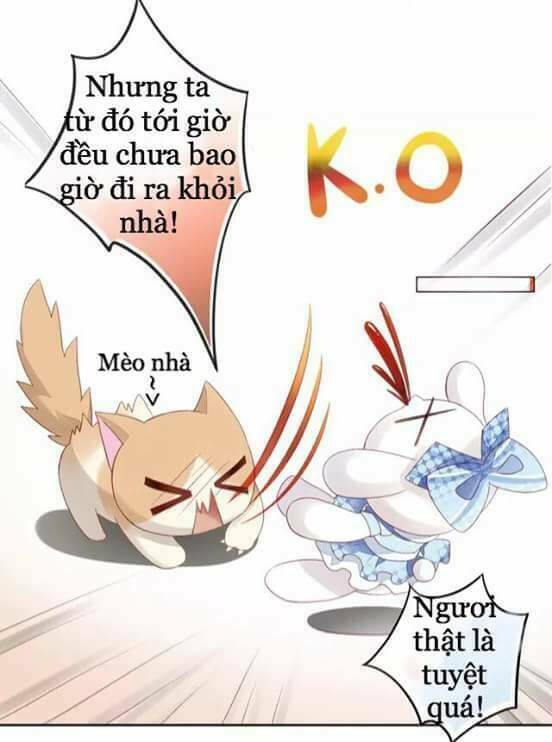 Dưới Móng Vuốt Mèo: Chapter 7