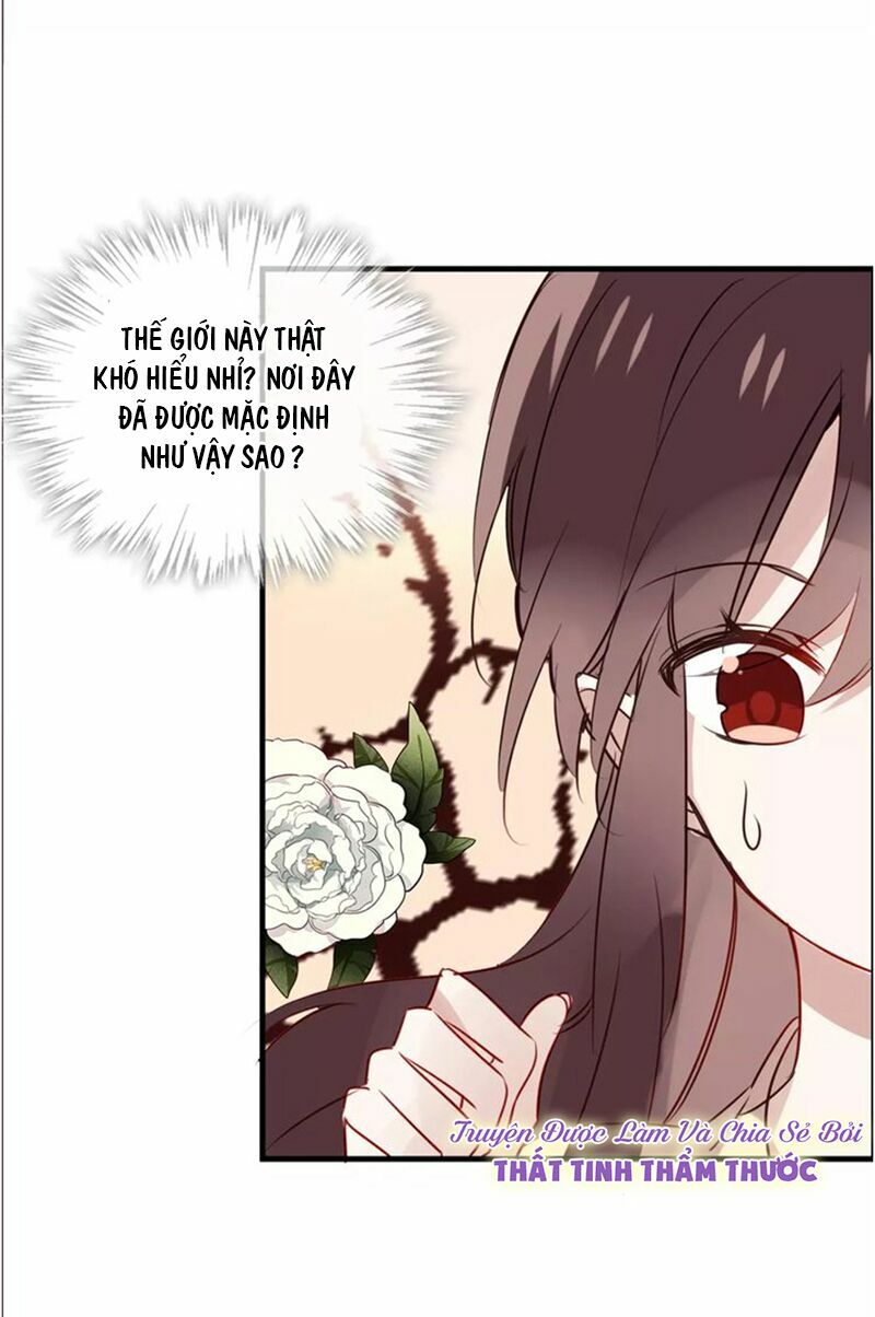 Ngô hoàng tại thượng: Chapter 5