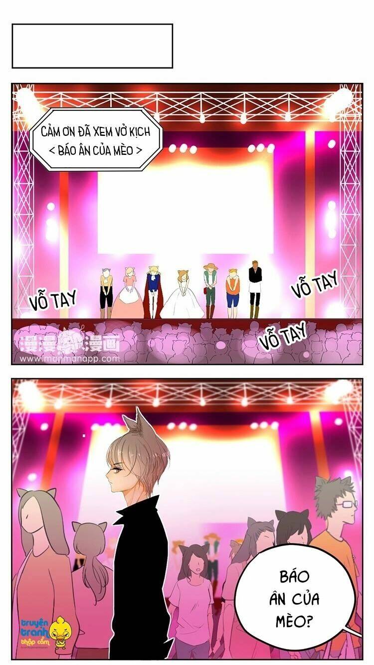 Cứu Mạng! Loài Mèo Thống Trị Thế Giới Rồi!: Chapter 23
