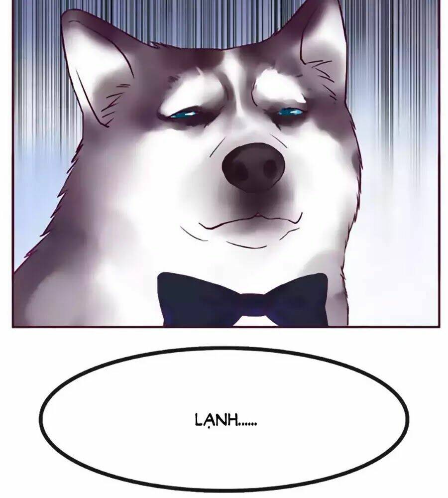 Đừng Nghịch, Ta Chỉ Muốn Yên Tĩnh: Chapter 66