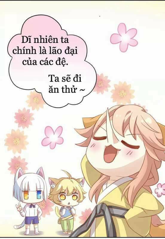 Dưới Móng Vuốt Mèo: Chapter 6