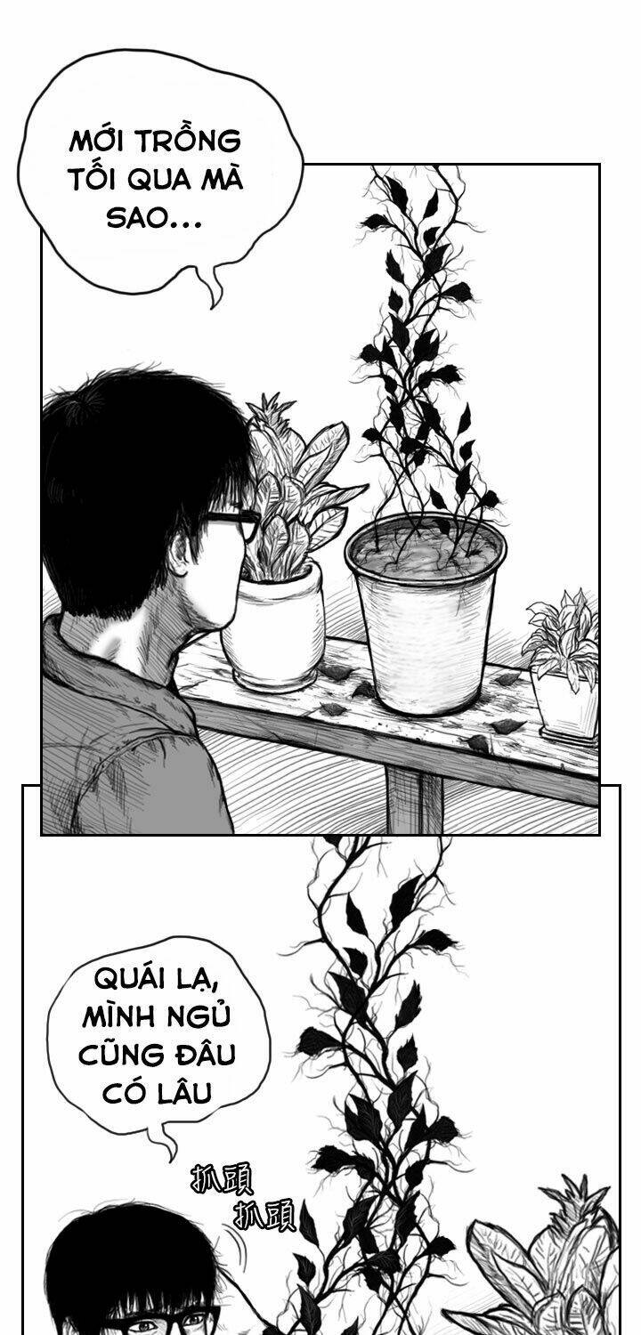 Hạt Giống Mỹ Nhân: Chapter 2