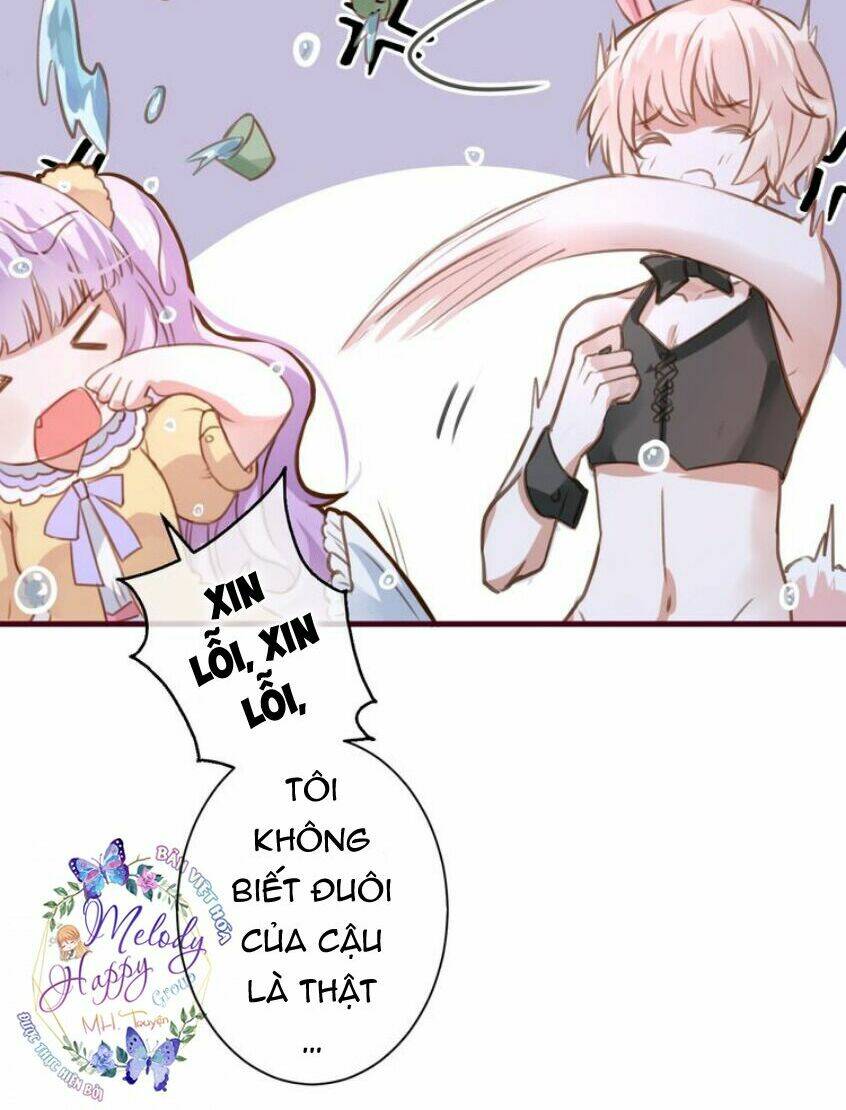 Mỹ Vị Hữu Không Phải Lỗi Của Tôi: Chapter 2