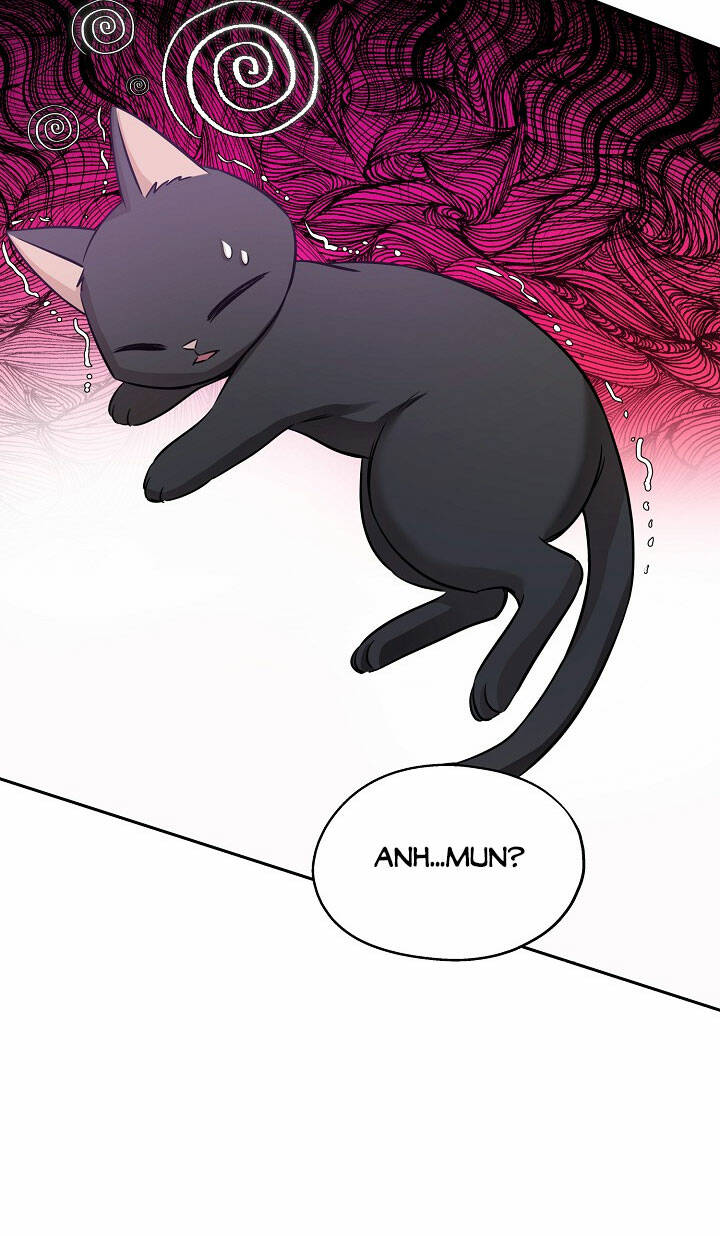 Cuộc Sống Kỳ Thú: Chapter 93