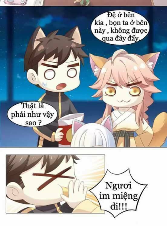 Dưới Móng Vuốt Mèo: Chapter 9