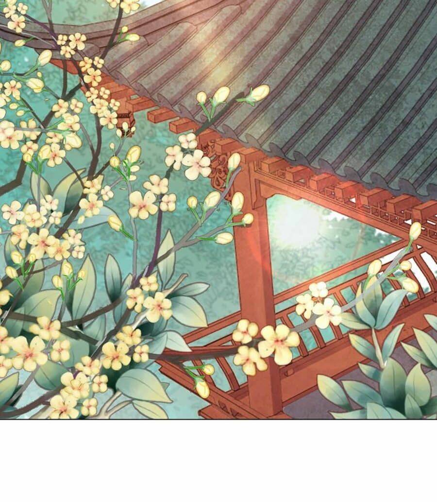 Vân Tưởng Chi Ca: Truy Ái Chỉ Lệnh: Chapter 6